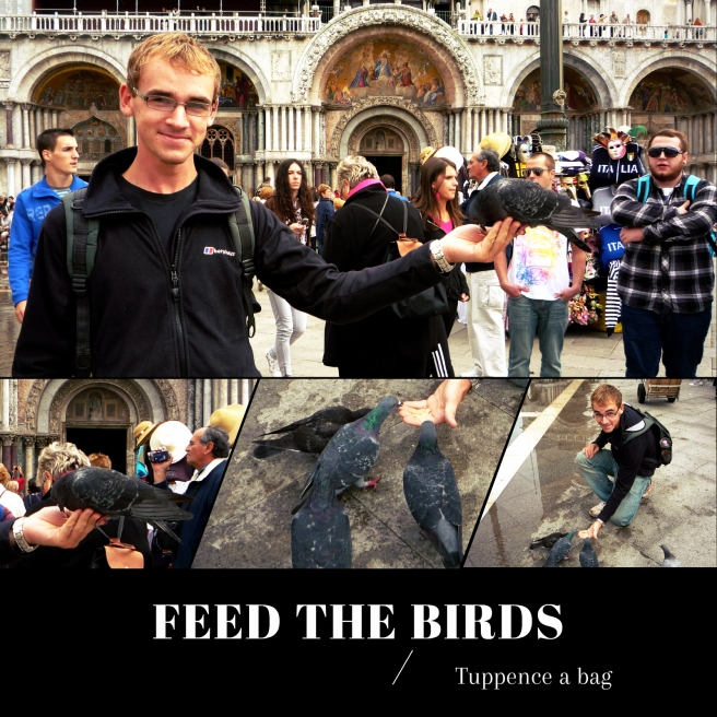 feedthebirds